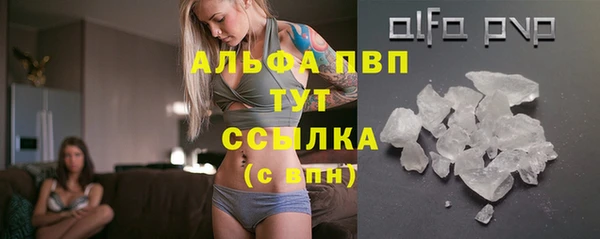 гидра Мегион