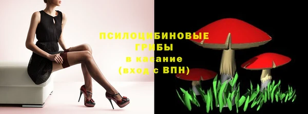 метадон Медвежьегорск