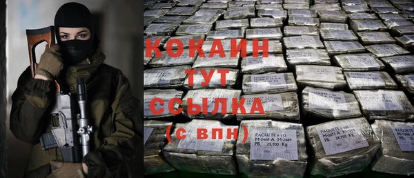гашик Михайловка