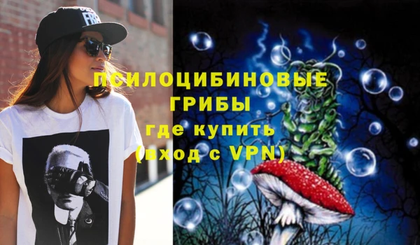 гашик Михайловка