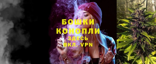 гашик Михайловка