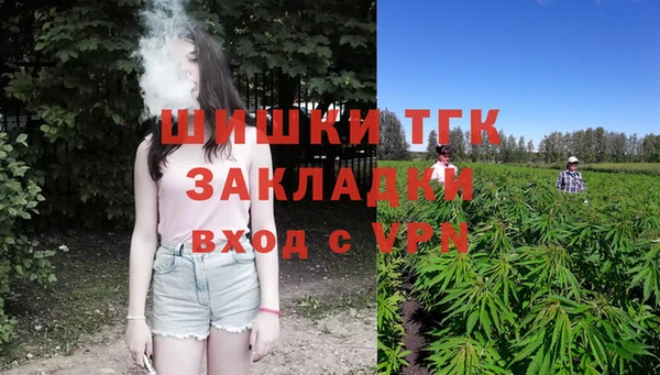крисы Медногорск