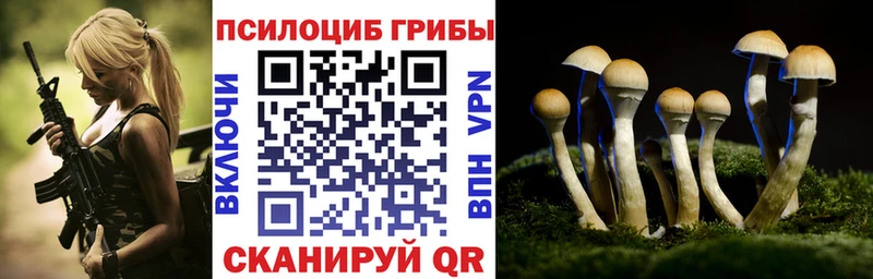 Галлюциногенные грибы ЛСД  площадка официальный сайт  Новоаннинский  где купить наркоту 