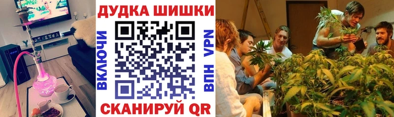 закладка  Новоаннинский  Конопля гибрид 
